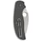 Spyderco 2023 Spyderco Reveal 6 Sage 1 G-10 Gray Maxamet Steel Plain Edge SPY-C123GPGY - alternate 2